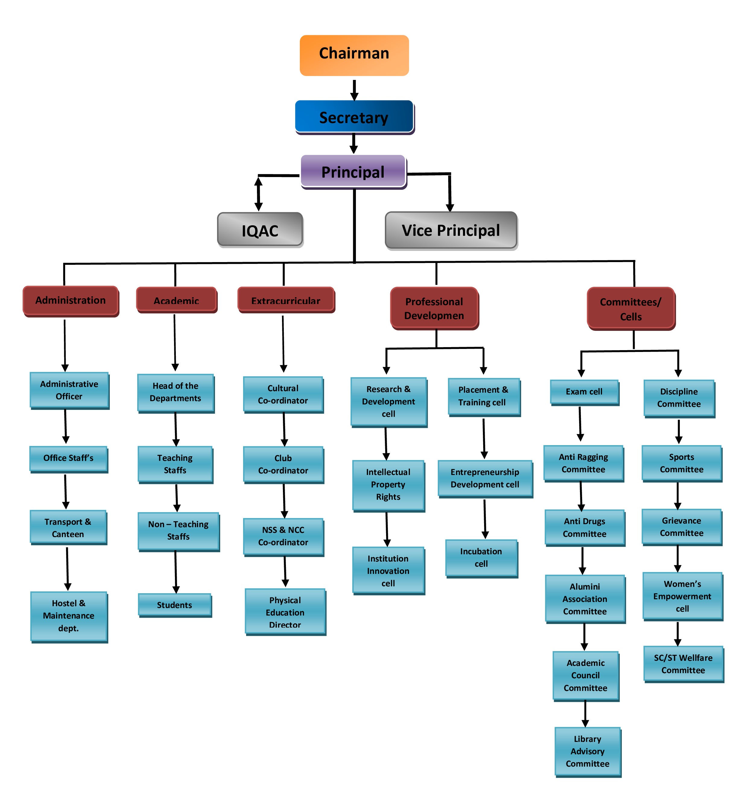 Organization-Structure